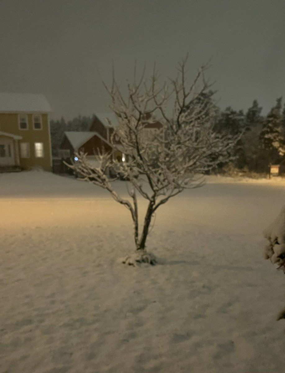 vmiddleton's tweet photo. I want to sincerely apologize for yesterday’s tweet that may have angered Mother Nature and triggered a rather spiteful response. ❄️ #DoYouWantToMakeASnowman #StillPlayingXmasMusic https://t.co/l36EuRwFWn