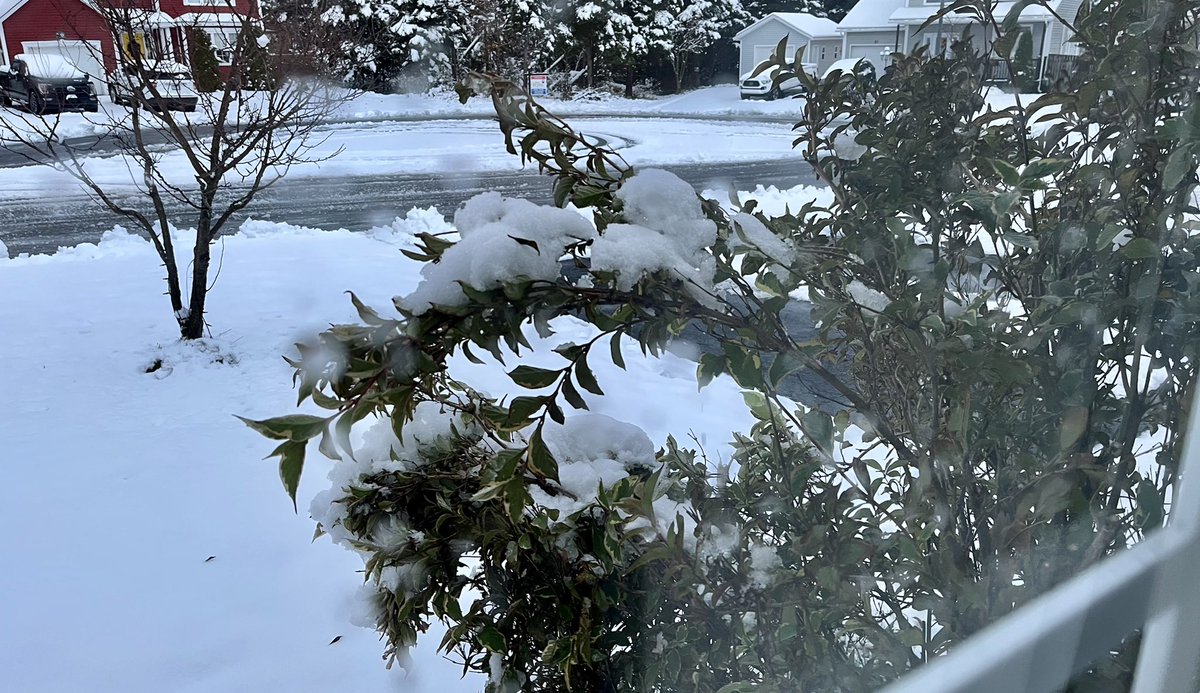 vmiddleton's tweet photo. I want to sincerely apologize for yesterday’s tweet that may have angered Mother Nature and triggered a rather spiteful response. ❄️ #DoYouWantToMakeASnowman #StillPlayingXmasMusic https://t.co/l36EuRwFWn
