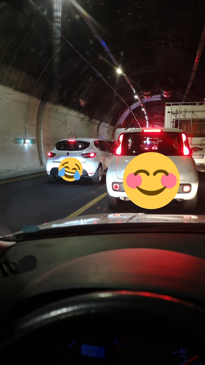 TortoiseTrainer's tweet photo. Eh, se #Toti sbraitasse con autostrade la metà di quanto sbraita con i novax... https://t.co/caTpD3YcoX