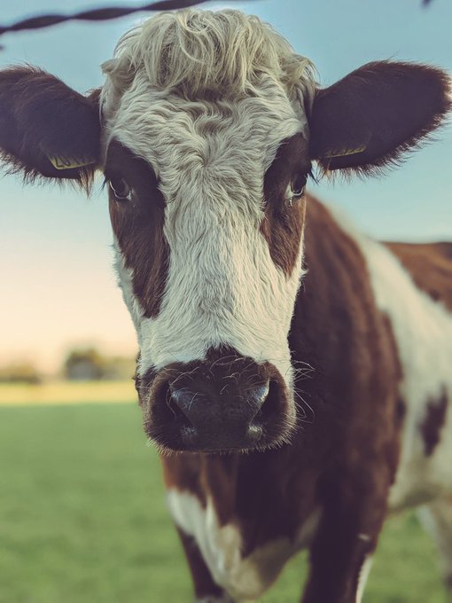 Friend ? https://t.co/jm6h98oGPu