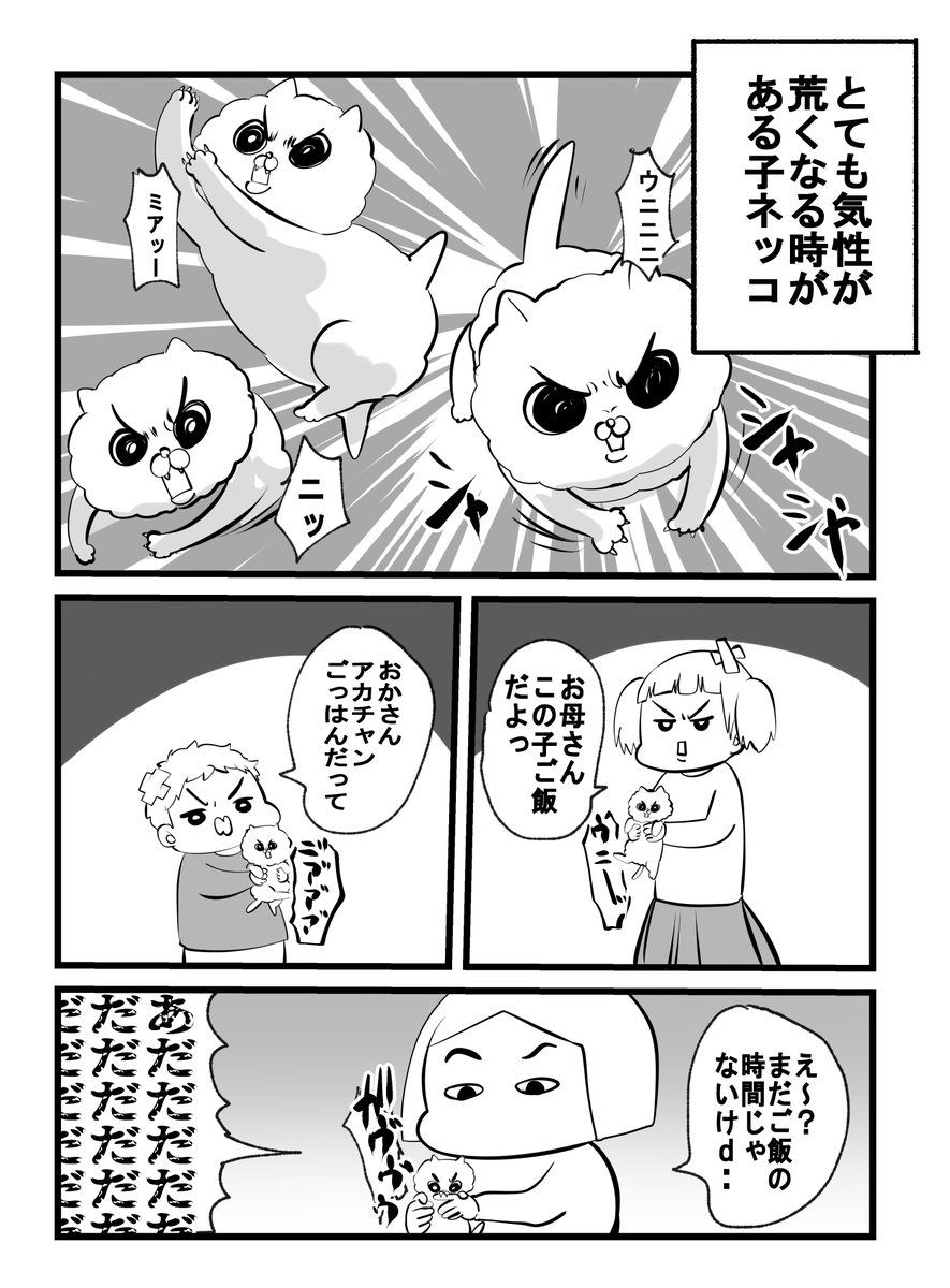 空腹は人(猫)を変えるのさ・・・ 