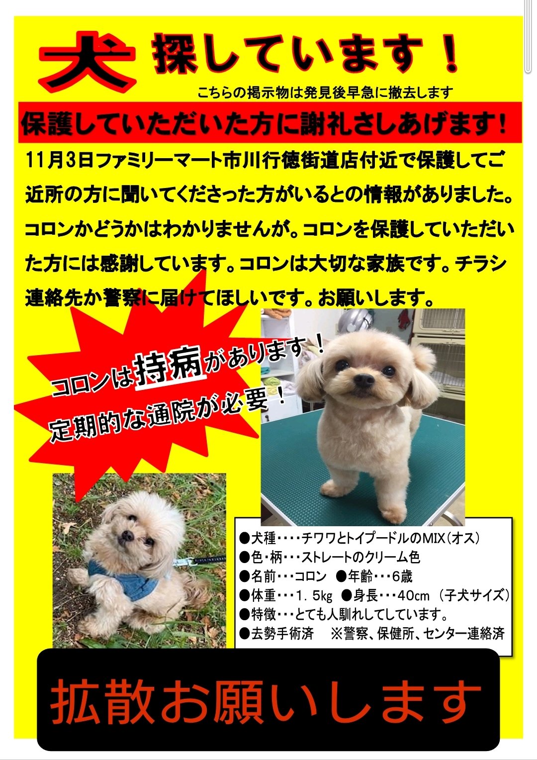 Mikimiki 拡散お願いします 迷子犬コロンちゃん お家に帰してあげたいでち T Co Ldaa2sran8 Twitter Mikimiki 拡散お願いします 迷子犬コロンちゃん お家に帰してあげたいでち T Co Ldaa2sran8 Twitter