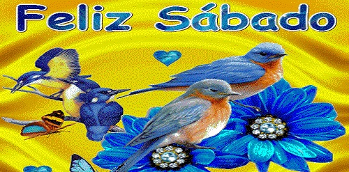 chino121's tweet photo. Saludos apreciados opinadores sus trabajos están PROMOCIONADOS hoy  SÁBADO 06/11/2021   en https://t.co/X2FAfqewXk   los invito a revisarlos 
@caivenlinea @leandrotango @DomingoAlbertoR 
@alvareznv @lombardijose @vicentejbrito https://t.co/H6LQvhw6t0