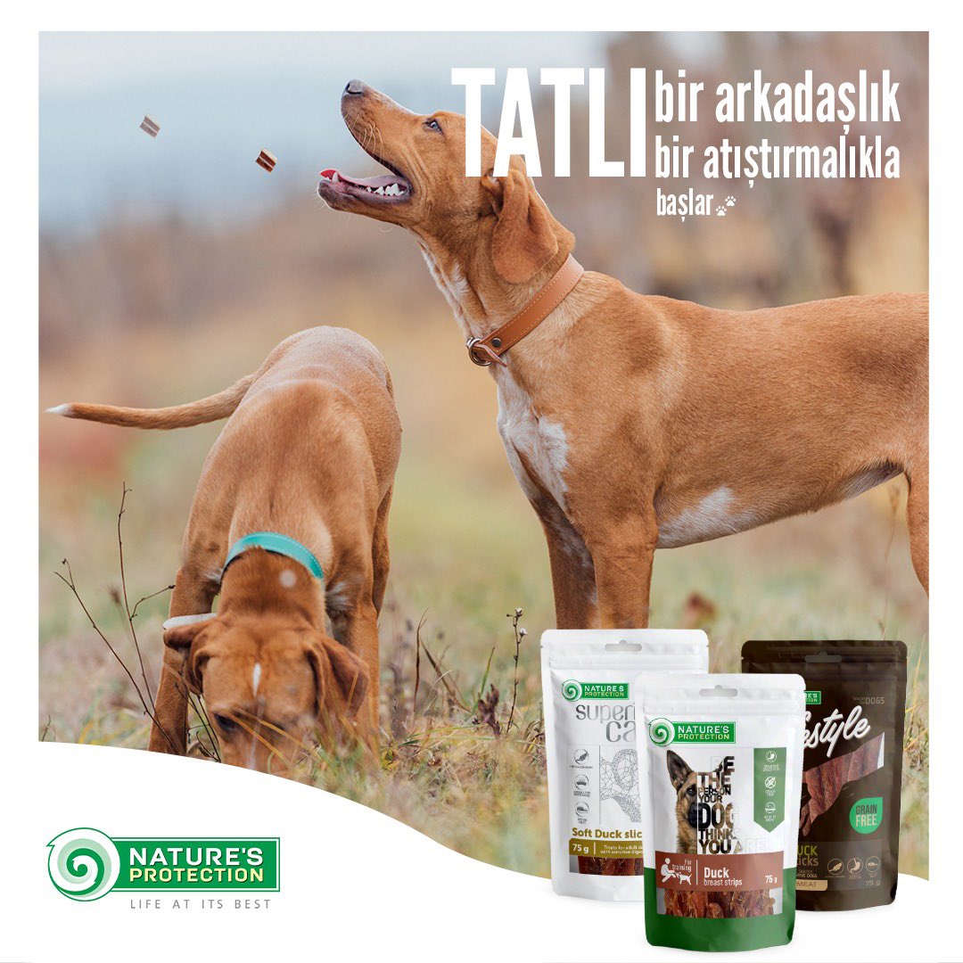 Nature’s Protection ödül mamaları,  içeriğindeki özenle seçilmiş mineraller ile diş temizliğine yardımcı olur. Sağlıklı diş etleri ferah nefes ile ağız içi hijyeni sağlar.

.
.
.
#naturesprotection #naturesprotectiontr