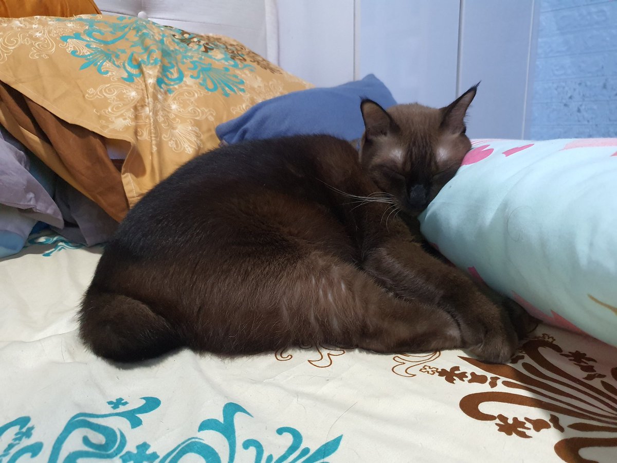 julea1169's tweet photo. @ulat_bulu_bulu My mika... https://t.co/LPQ9QPPuxr