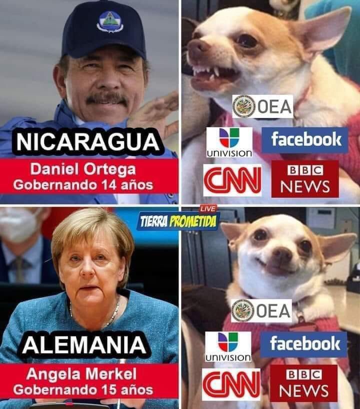 Seré Breve🤔🙄