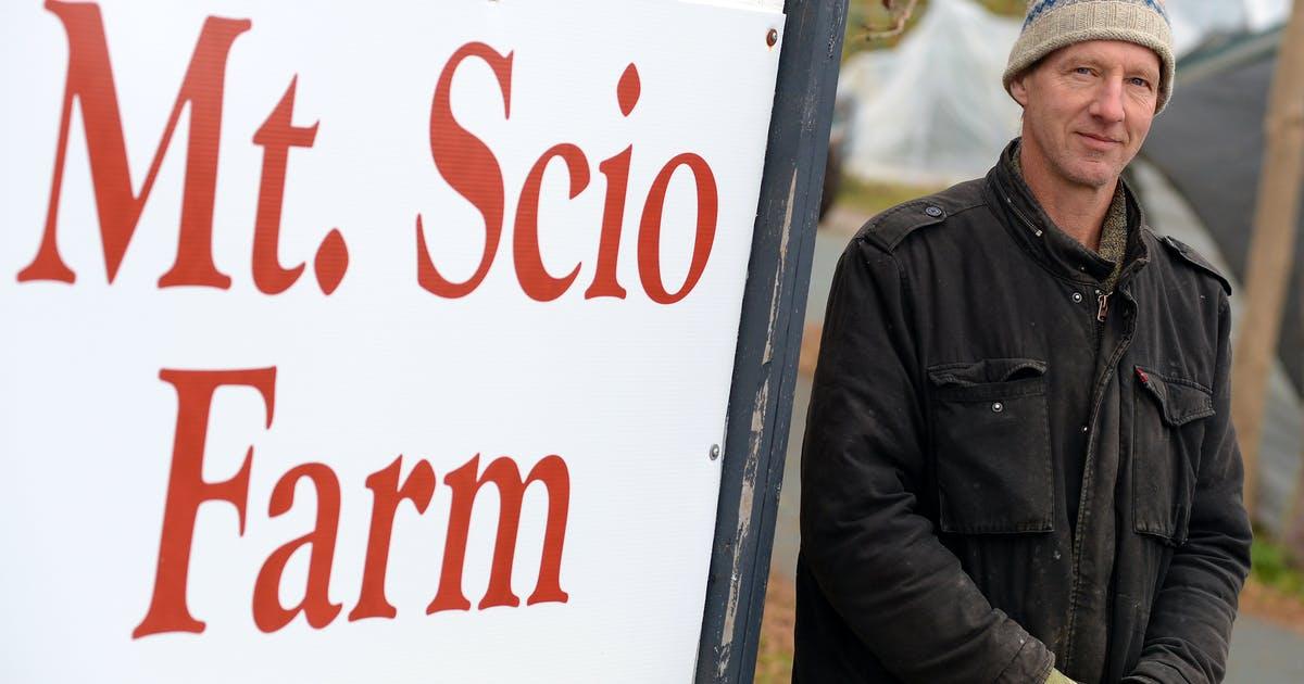 No Newfoundland savoury for Christmas? Not so, say producers | Saltwire saltwire.com/atlantic-canad…