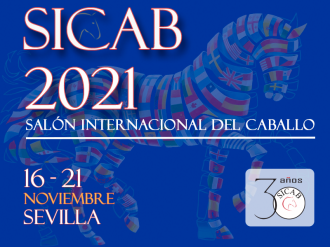 anccepre's tweet photo. Disponibles los dorsales de cada ejemplar participante del VII Campeonato del Mundo del Caballo PRE, @SICABOficial 2021
➡️ https://t.co/cLncdNY6O5
#SICAB21 #SICABcumple30años #Sevilla #CaballoEspañol #CaballosPRE #PuraRazaEspañola #MorfologicosPRE #FuncionalidadPRE https://t.co/zvQp0hGJXL