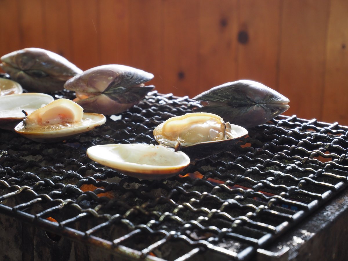 ki4188nashizou's tweet photo. は~い❗️本日の飯テロです😆
千葉県九十九里町の「向島」というお店です
#OYMPUS #PENFdigital https://t.co/dIwKFfddjt
