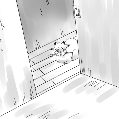 ちょっと遠くで怒ってる 