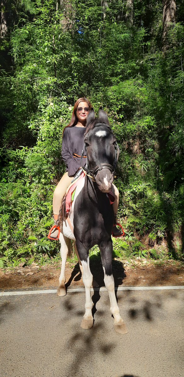ash4intelways's tweet photo. Eternal bliss #morning #VIP #horseride at #paradise rhythemic #horse #gait with whistling #pinewood spell of fresh air #thrill #adventure #canter #khajjiar #dalhousie #kalatop #wildlife #snowmountains #heaven #HimachalPradesh #bharat https://t.co/VGs3zU5mFc
