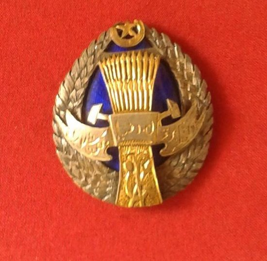 орден труда хорезмской нср. орден труда хорезмской народной социалистической республики. орден хорезмской народной советской республики. ленин орден хорезмской. орден труда хорезмской нср.