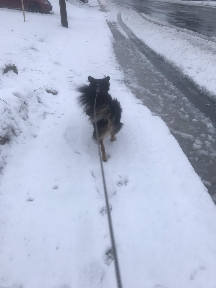 It’s here!!!!
❄️☃️⛄️⛷🏂