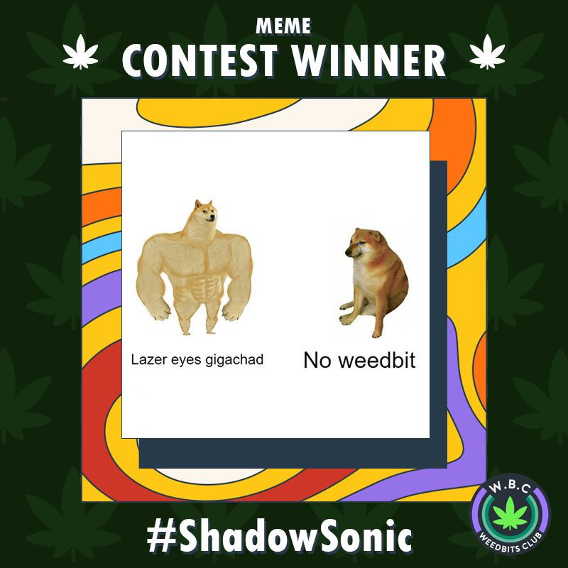 Weedbits_nft's tweet photo. 🏆 Meme Contest Winner 🏆
The most liked meme has been created by ShadowSonic, with a nice joke on one of the rarest traits in the whole #Weedbits collection 💥
Contrats on your win of 1X Weedbit NFT 🔥
#contest #MemeContest #WeedbitsNFT #NFTs https://t.co/tnOoazVTjm