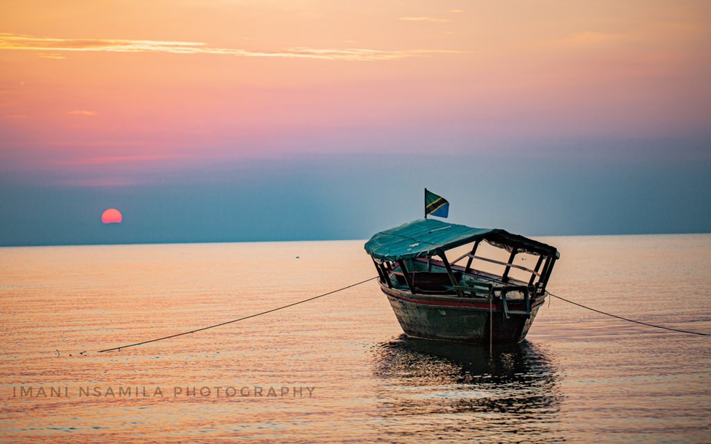 Imani Nsamila tweet media