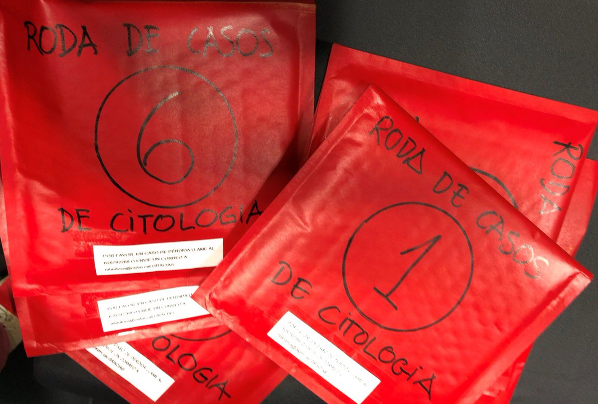 Citopat.CAT tweet media