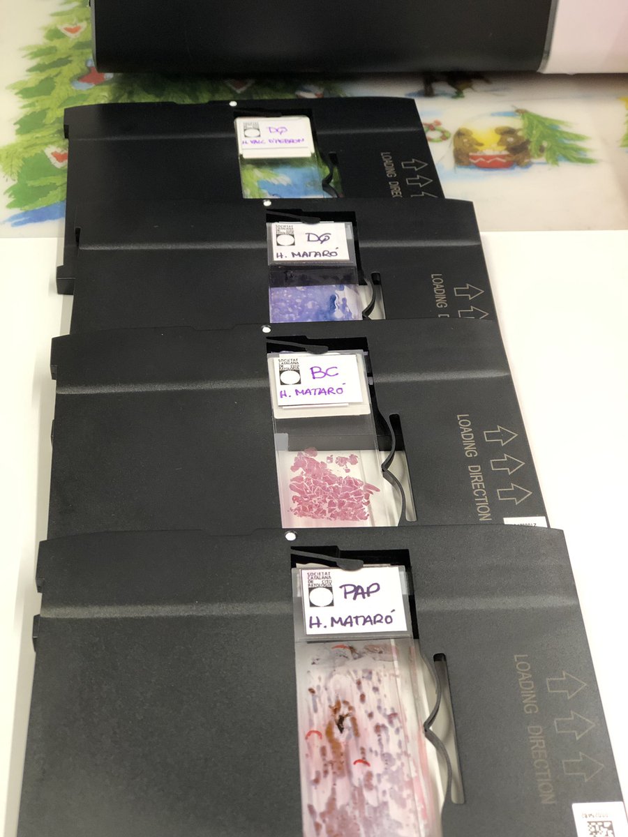 Citopat.CAT tweet media