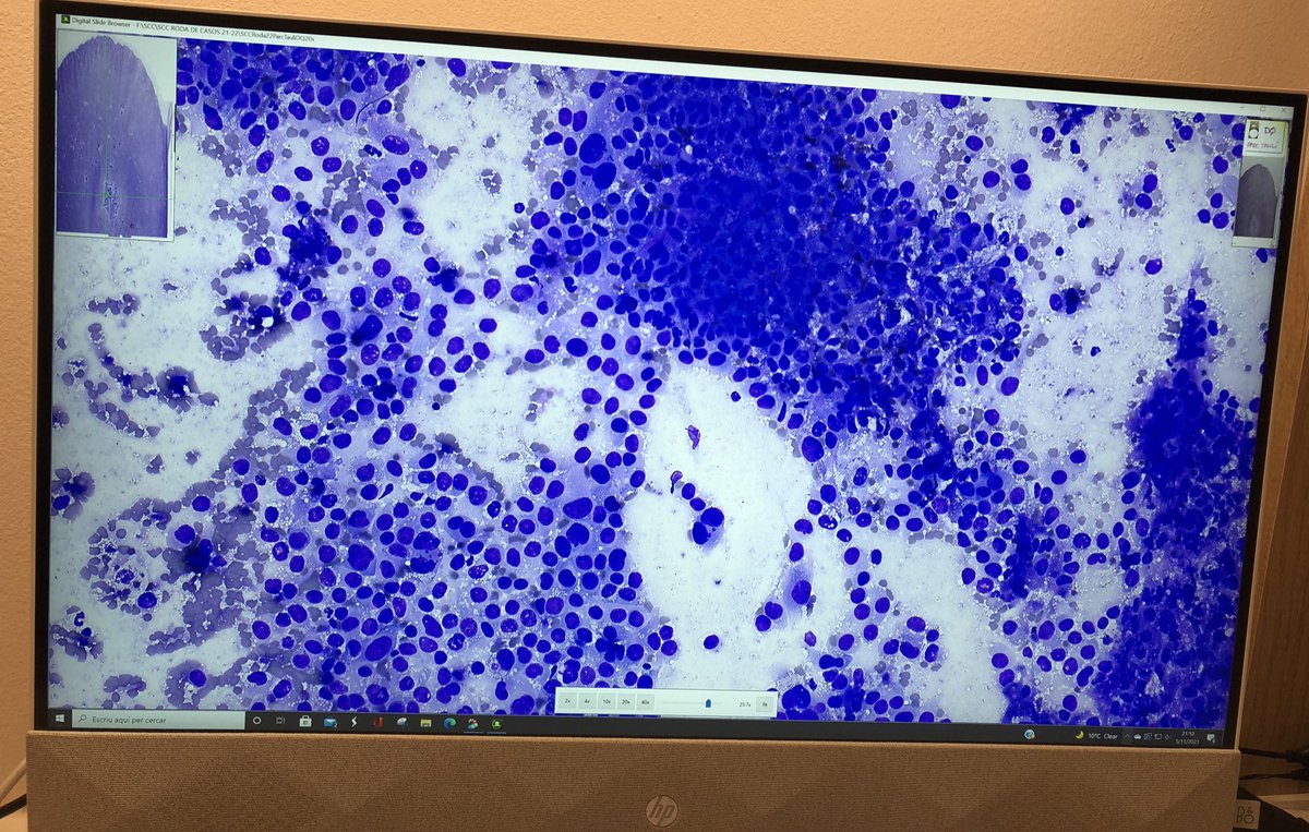 Citopat.CAT tweet media