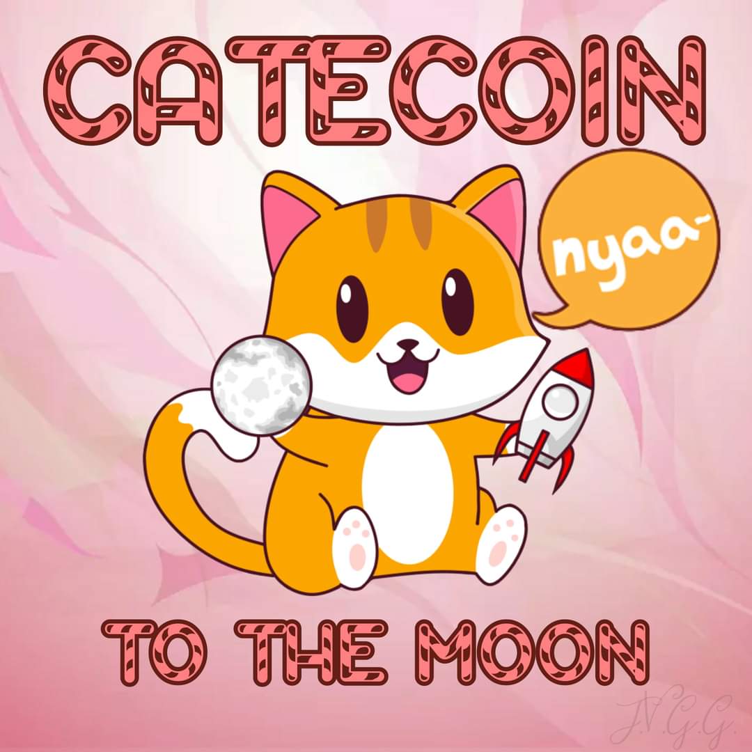 CatecoinMusk's tweet photo. #catecoin 🚀🚀🚀 https://t.co/bbWqaV769R