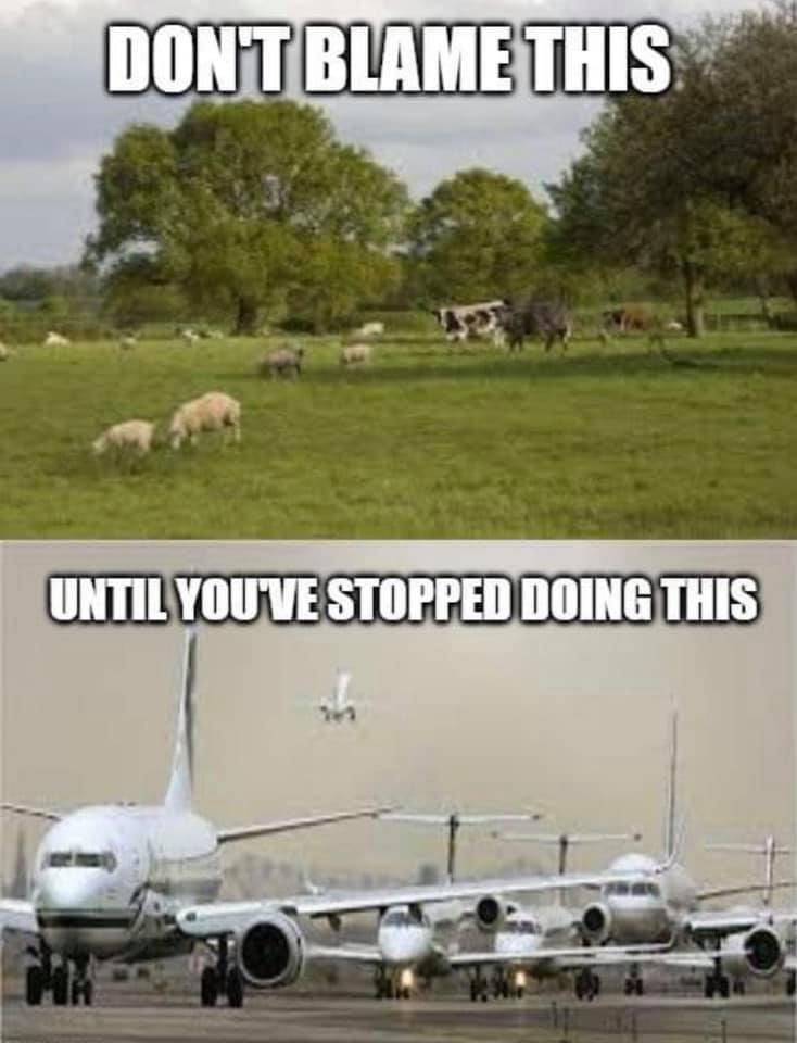 rattycastle tweet media