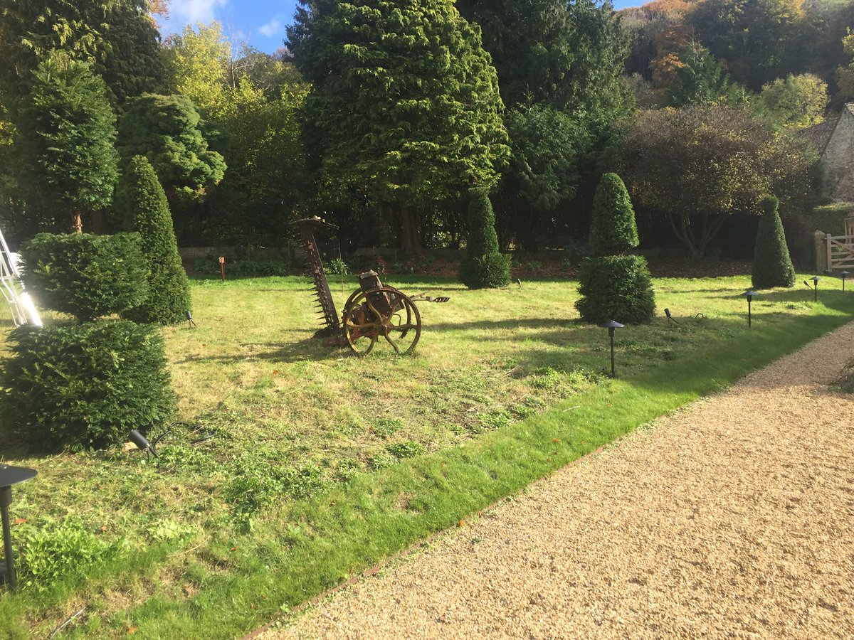 BarryHolmanGdns's tweet photo. Started with yew cones and after a bit of work ended up with topiary in the wildflower meadow https://t.co/76xwGFMd3s