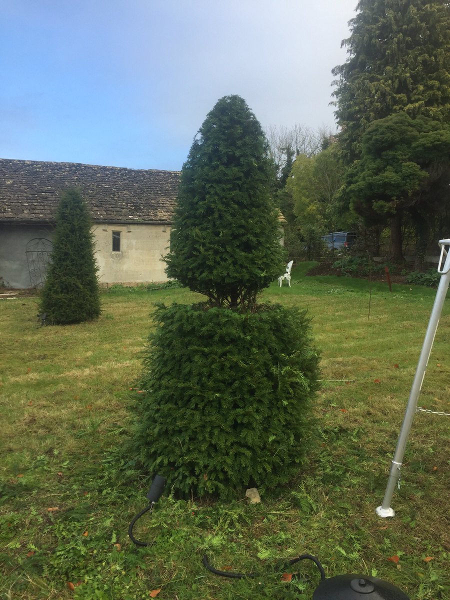 BarryHolmanGdns's tweet photo. Started with yew cones and after a bit of work ended up with topiary in the wildflower meadow https://t.co/76xwGFMd3s