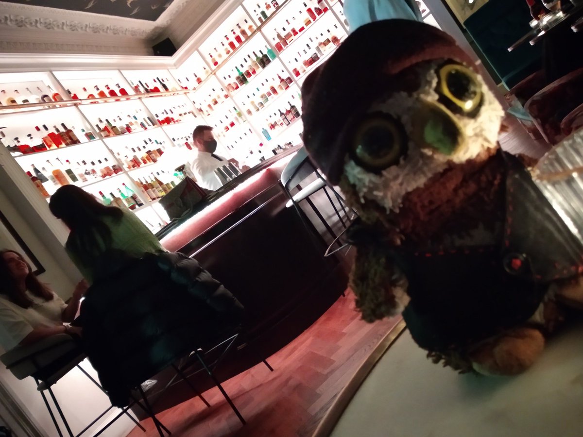 conradtheowl's tweet photo. Glasgow you were most kind to us 💙Strong negroni game 💪 #FlySouth https://t.co/EUjuIKtQWb