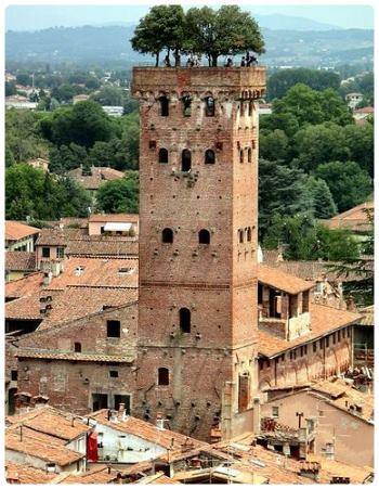 PetrelliFlavia's tweet photo. Sono grandi lecci gli alberi che costituiscono il bel giardino pensile della #TorreGuinigi, simbolo della città di #Lucca 😘 https://t.co/ZeZzQ4Mzyf