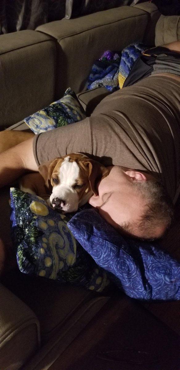 TheRealJoshInWV's tweet photo. Dad fell asleep on the couch last night, so I curled up and performed rack-ops with him, until I got caught by mom this morning! 

Man I was coolin' with my homie.... but now it's breakfast time! https://t.co/qDIxPh7k2q