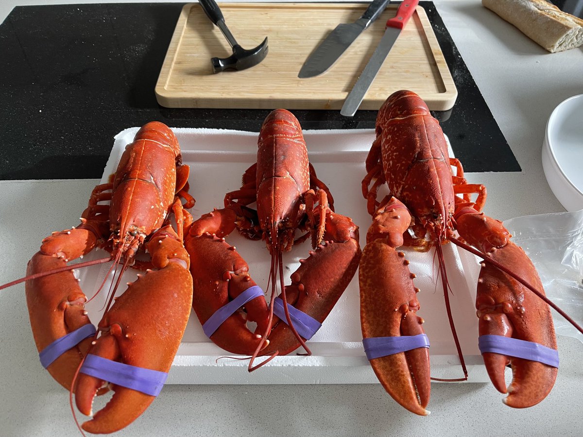 Lunch is served Hell boy surprise