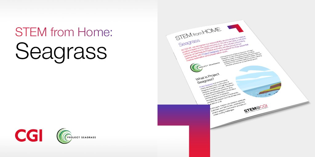 CGI_UKNEWS's tweet photo. Ever heard of seagrass? One hectare of tea grass can provide a home for up to 80,000 marine species! Find out more about #seagrass and complete ocean activities in our #STEMfromHome pack in partnership with @ProjectSeagrass https://t.co/h5QTx38JUy #COP26 #ExperienceCGI https://t.co/30X63ChE1Z