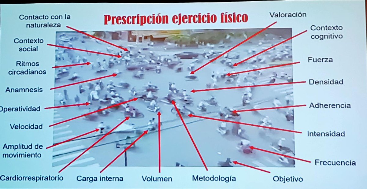 mdballesteros's tweet photo. Imprescindible prescribir ejercicio, pero basándose de ciencia, sin frivolizar y con conocimiento, planificando, teniendo en cuenta todos los factores. Excelente @felipeisidro13 en XXXII #SCLEDYN León @SCLEDyN https://t.co/dQibWlRFQA