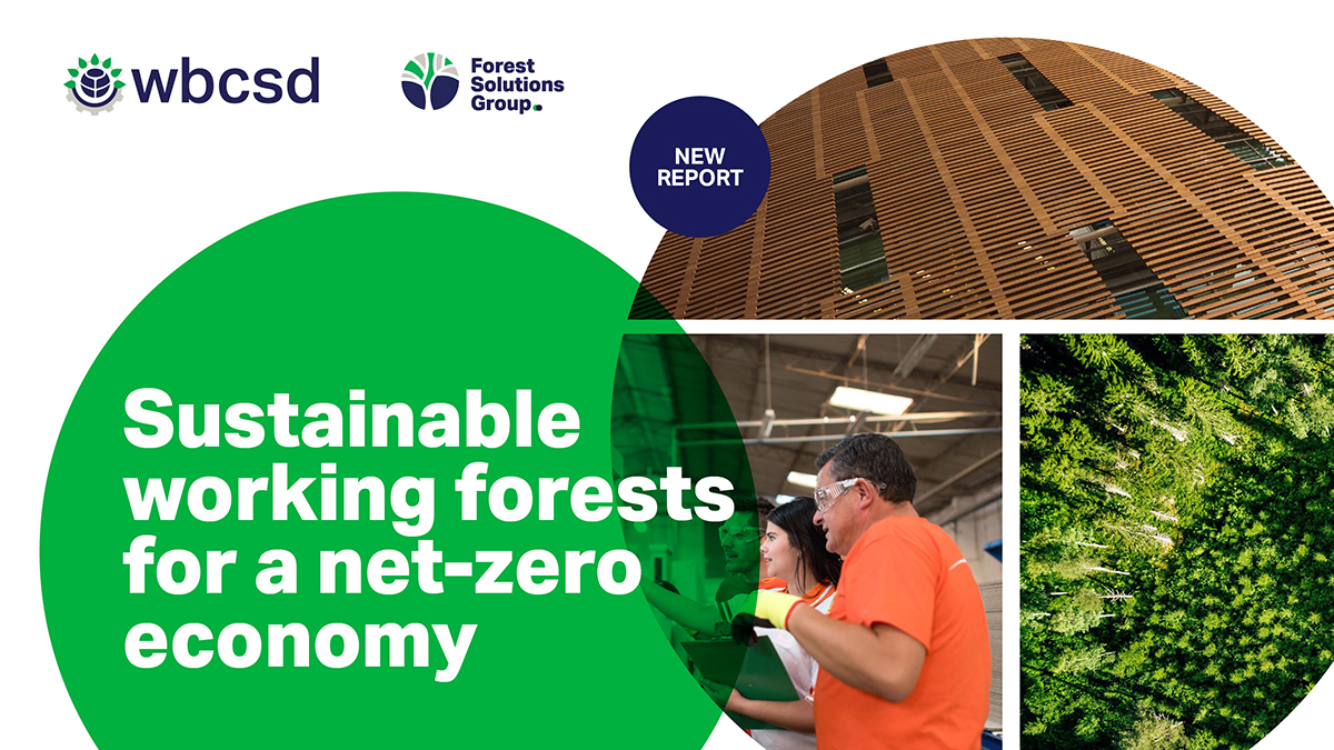 Great to see @WBCSD’s Forest Solution Group launching the first report of the Forest-Sector Net-Zero Roadmap.
 
#MondiGroup #WeAreMondi #SustainablebyDesign #Forestst #Report 