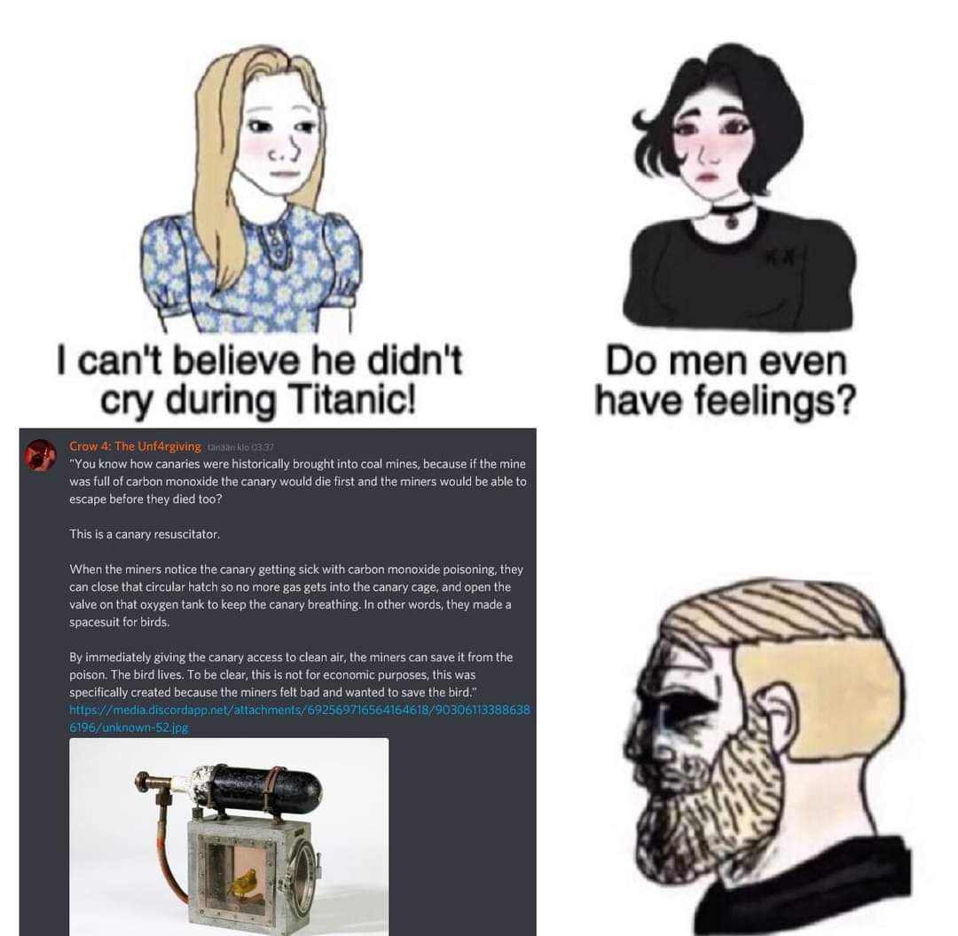 правило употребления глагола have got has got. рейчел и дик грейсон. Have got has got правило. They even have. Have had употребление.