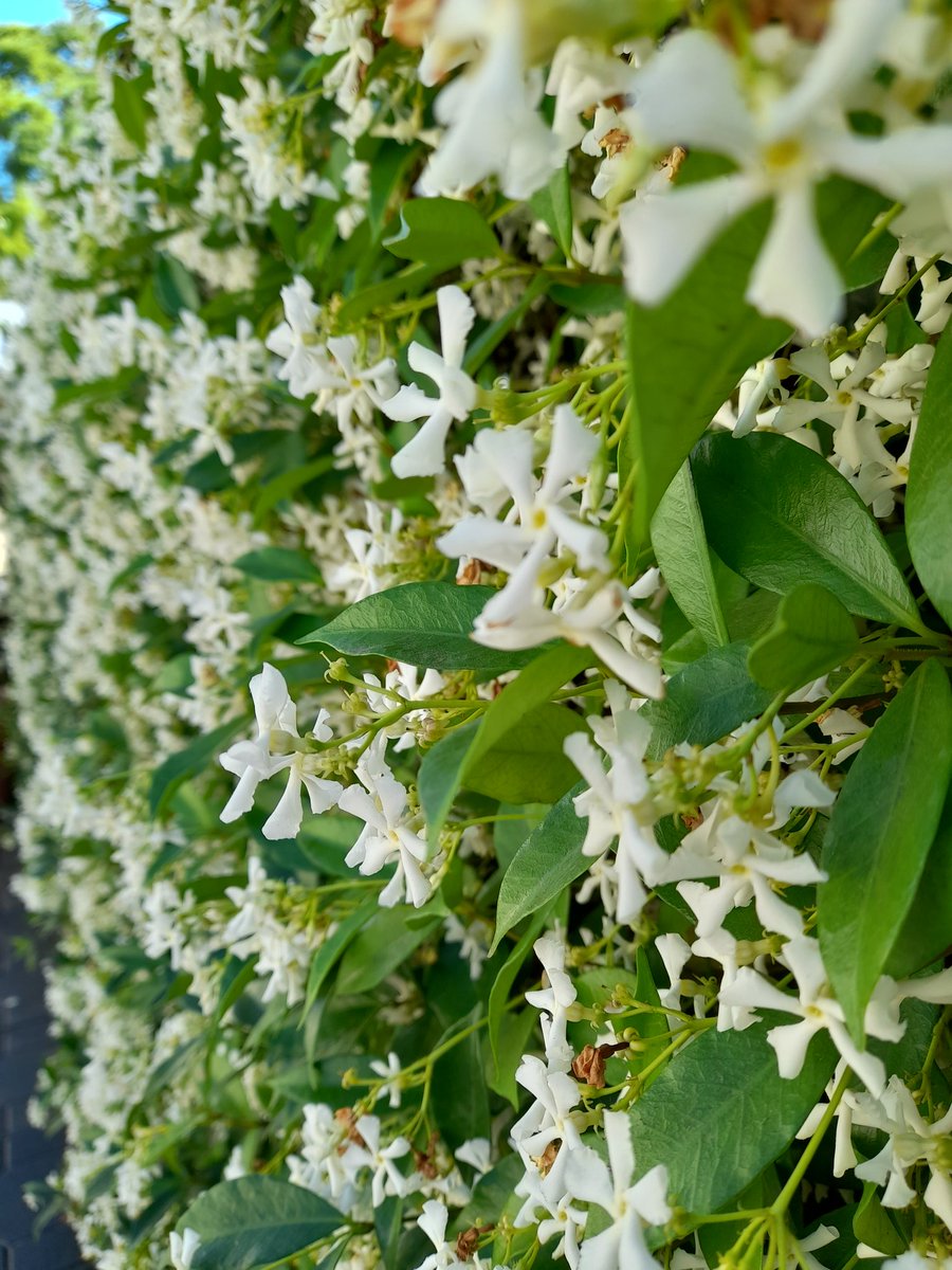 Esta foto tiene perfume.