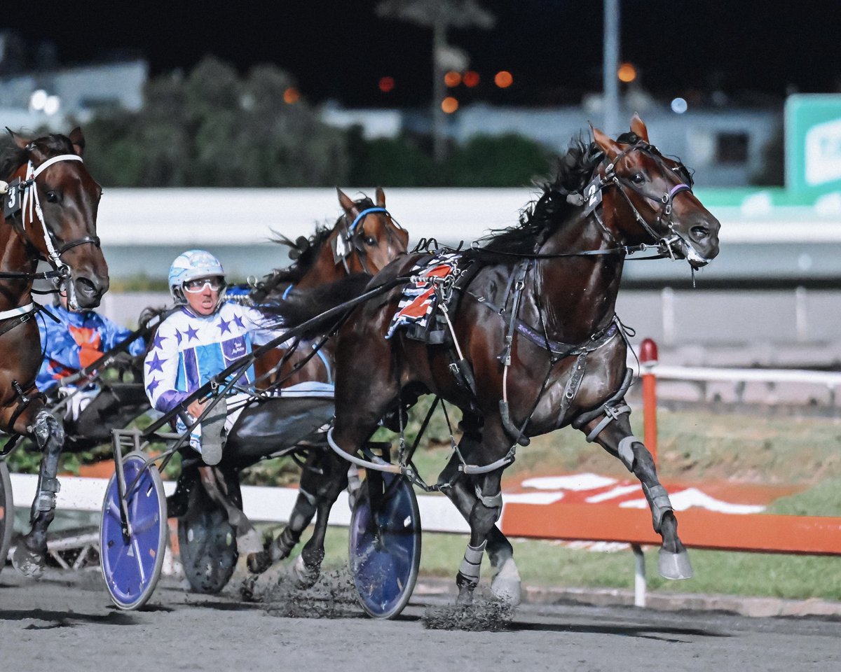 TheCreekAlbion's tweet photo. Uncle Shank becomes the first horse to take out the @AQWAConstructi1 Peak of The Creek ππͺπ½π
On the quick back up, the 3yo colt was able to win his Peak of The Creek heat Thursday & continuing his winning streak tonight!
Well done to @turpinmcmullen & Ross Patrick.
#34togo https://t.co/opNdRbpt2G