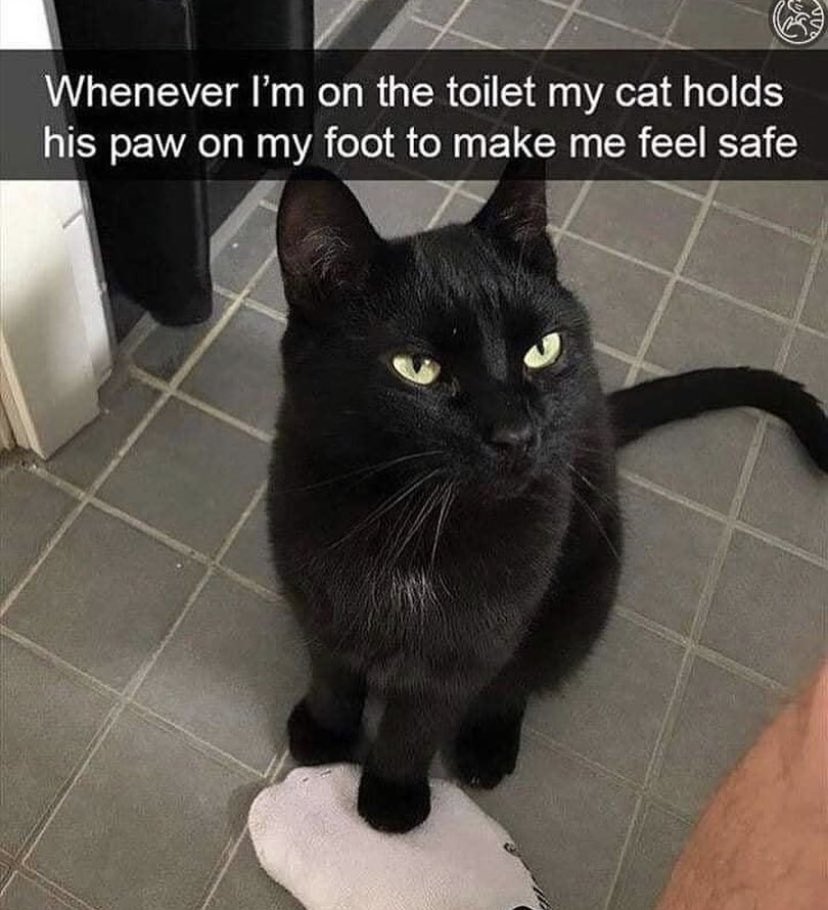 WholesomeMeme's tweet photo. https://t.co/DV2LW55dmZ