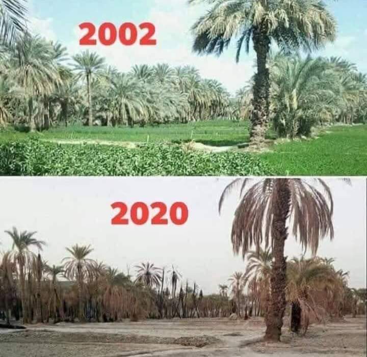 Marching today with #StopPollution in #Gabes - their beach and oasis polluted by phosphorus, ammonia and uranium - people, turtles, seabirds, trees poisoned - we call on  government of #Tunisia to act now #CoP26Glasgow