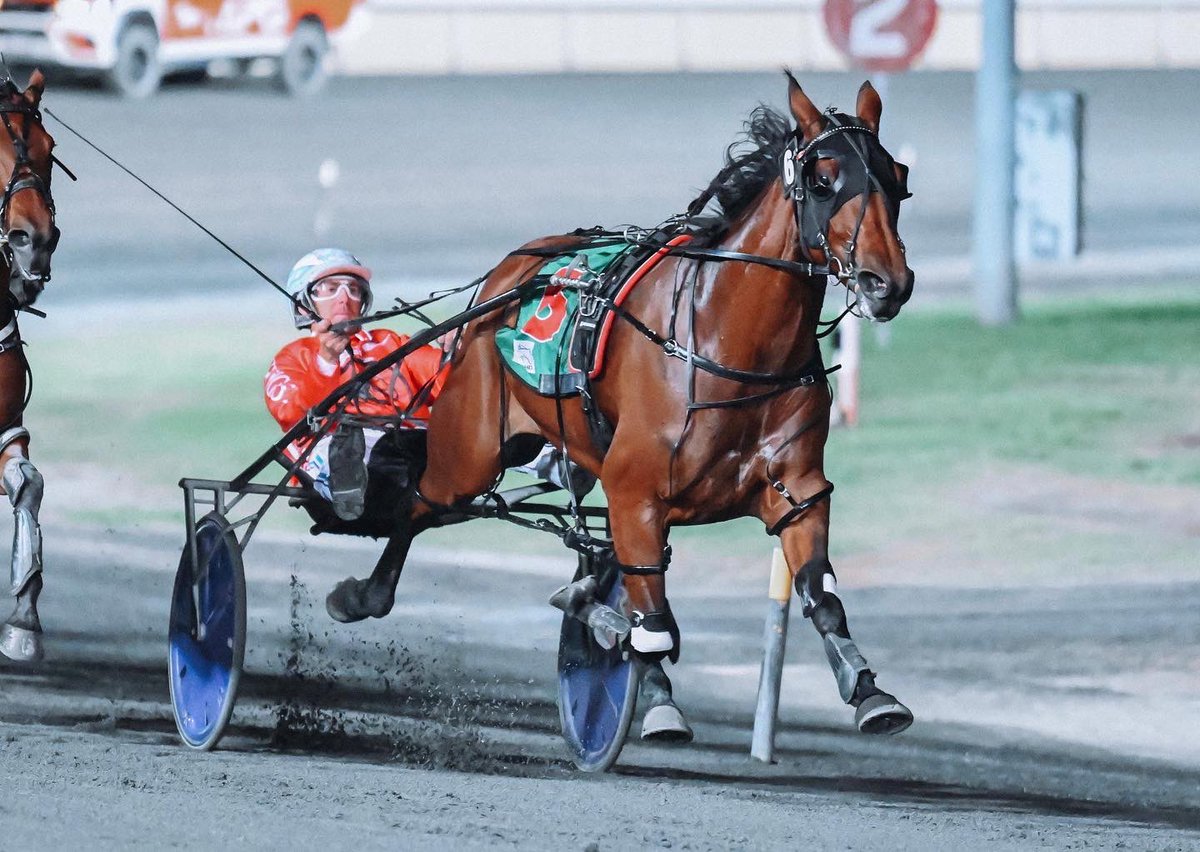 TheCreekAlbion's tweet photo. The final feature of the evening, QBRED for Life 3yo Fillies, goes the way of She’s Miss Devine prepared by Kingslodge Pacing Stables 👏🏽
Leader Peter picked up a driving double and in doing so, added to his tally and is 33 away from 300!!
#33togo
#QLDisRacing https://t.co/4mRw926AkW