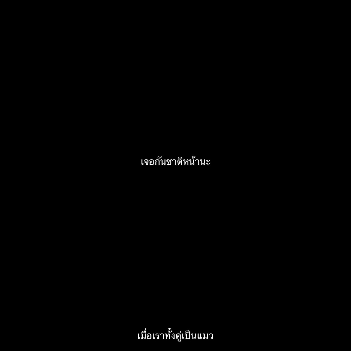 yin tweet media