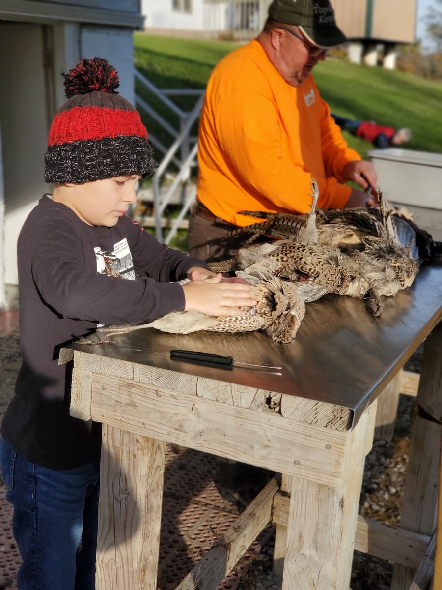 HuntingHighland's tweet photo. All hands on deck during the hunting season! #futureguide #pheasanthunting #topgunkennels https://t.co/7qFJ5glmjc