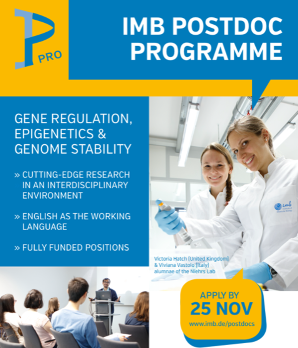 Dormann lab tweet media