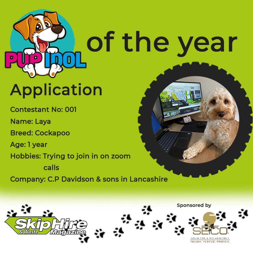 Meet Laya 🐶

Has she won your vote for Pup Idol of the year?

Click below to vote now!👇

zcu.io/AtlM 

Voting ends Sunday 21st at midnight 🕛

#dog #vote #SHWM