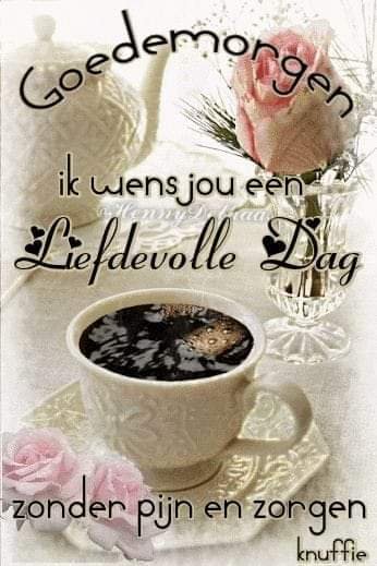 Kachri2's tweet photo. @B_Visschedijk Wens ik jou ook. https://t.co/srE8b3Po6Z