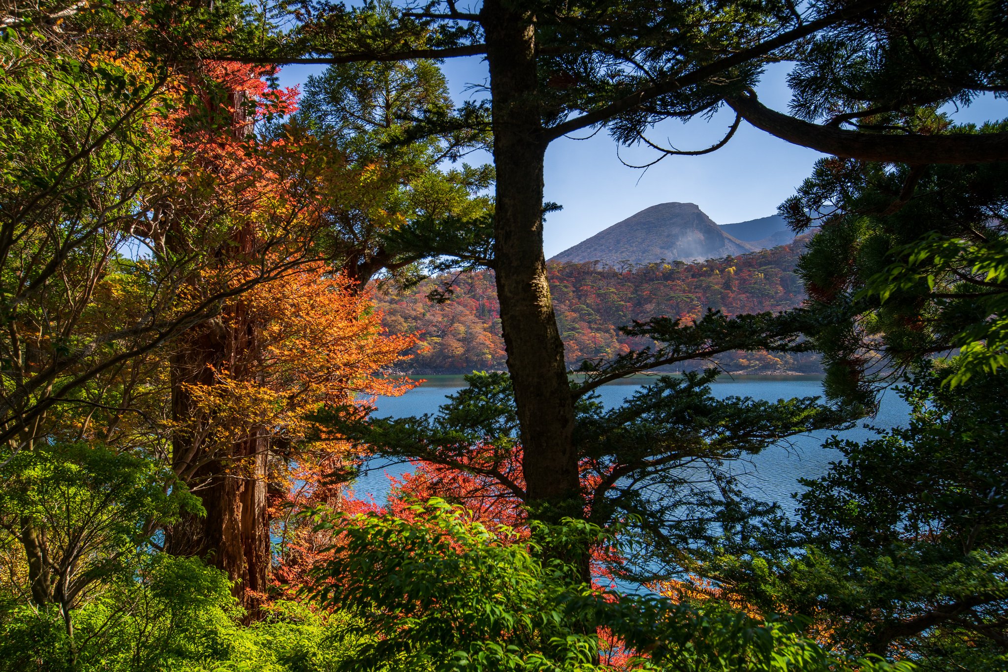 鹿児島よかもん再発見 えびの高原 六観音御池周辺の紅葉を見に行きました R3 11 5撮影 T Co 67rlrsqmac Twitter