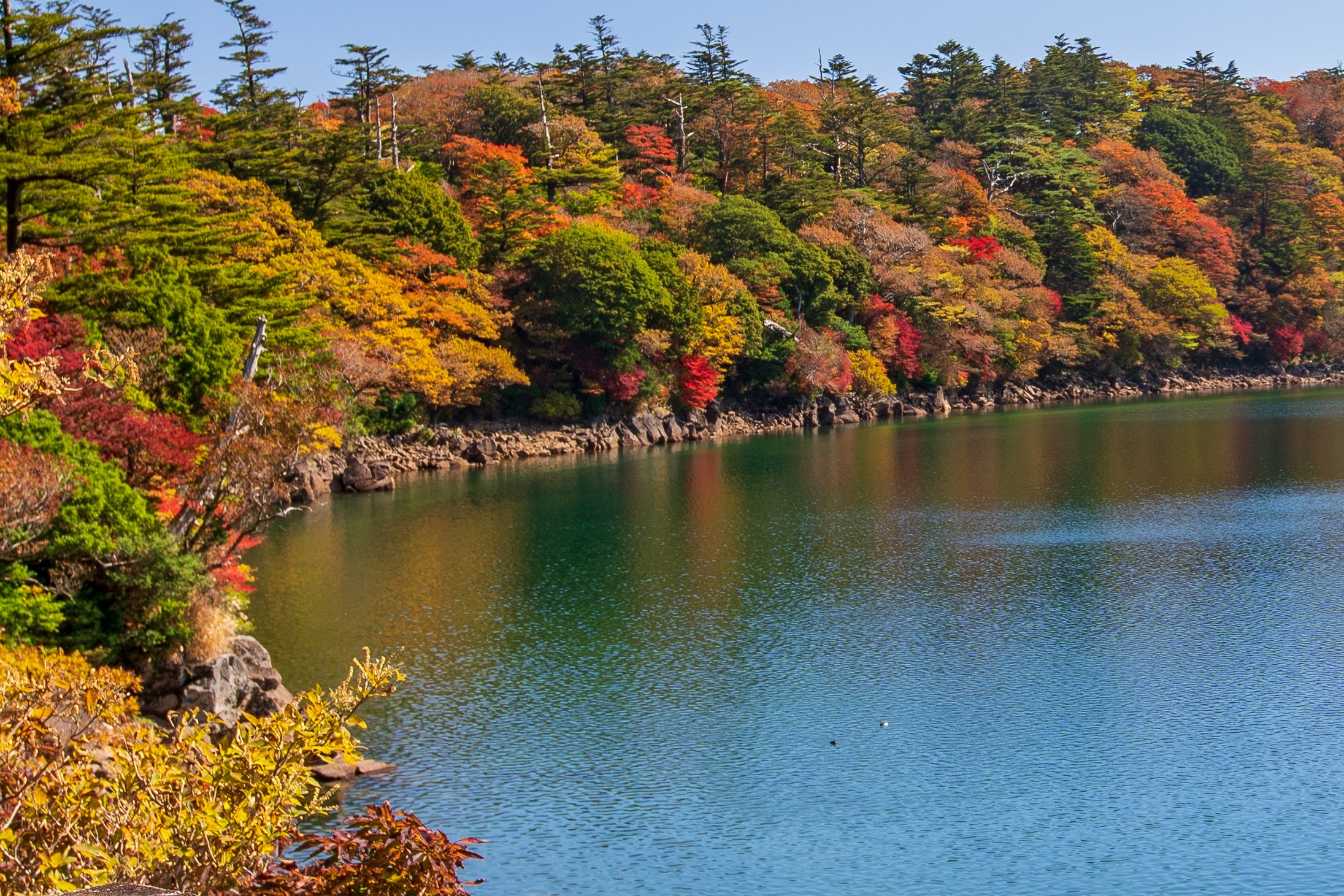 鹿児島よかもん再発見 えびの高原 六観音御池周辺の紅葉を見に行きました R3 11 5撮影 T Co 67rlrsqmac Twitter