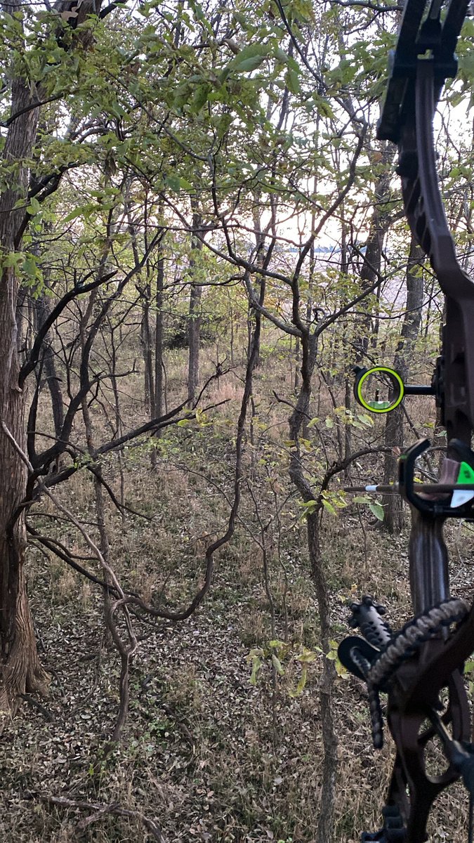 STATOutdoors's tweet photo. Good luck out there this morning everyone! #rutRollCall #bowhunting https://t.co/jO5nY6zHao