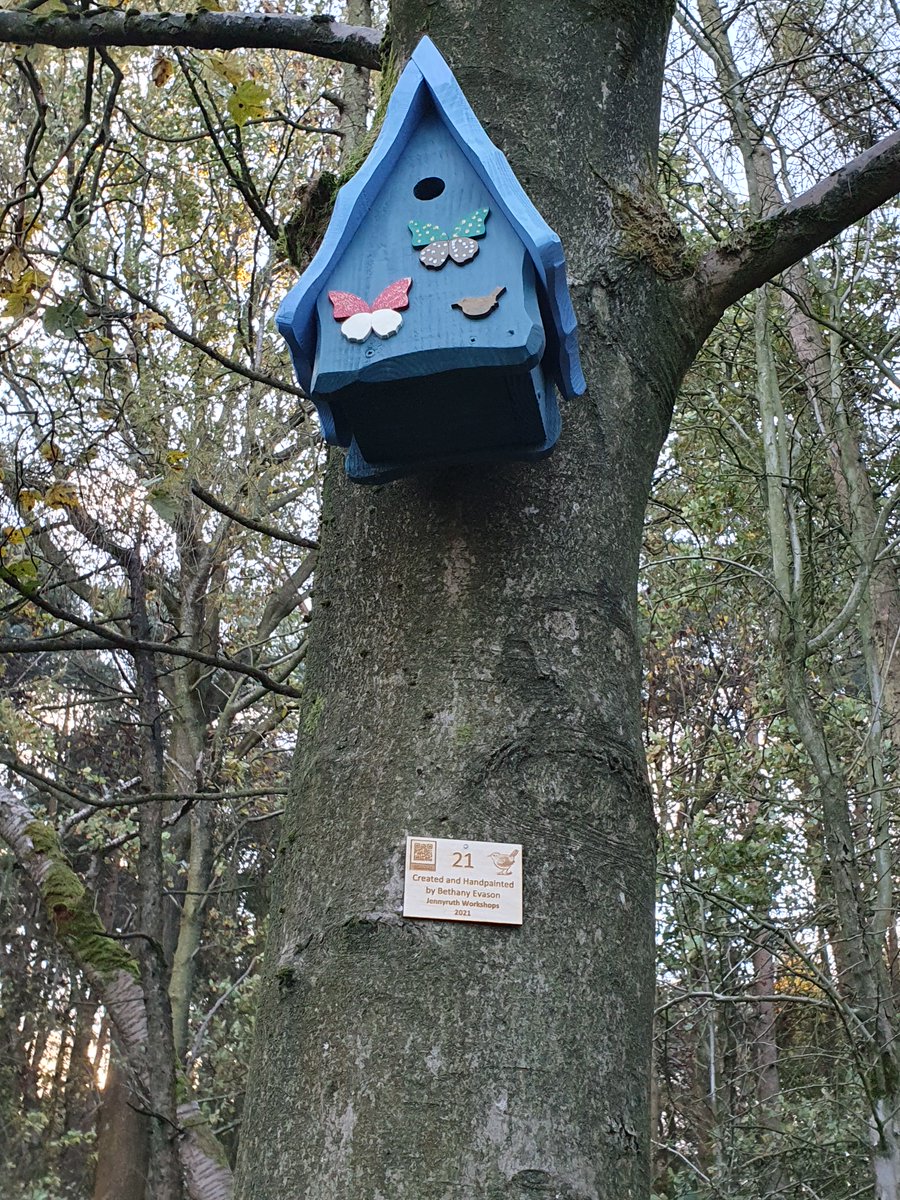 PinewoodsHgt's tweet image. Day 21 of the @PinewoodsHgt &amp;amp;  @JennyruthW #pinewoodsadvent walk.....