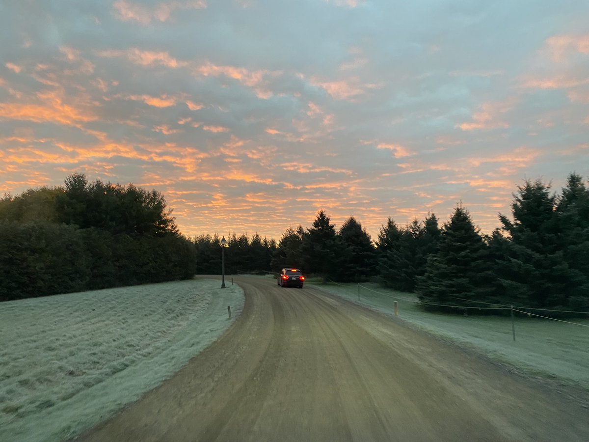 Lee Academy tweet media