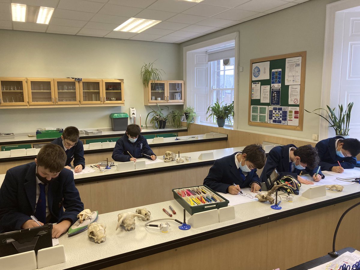 MerchiJuniors's tweet photo. Saturday morning researching skulls in Third Form Biology. Happy weekend, everyone! @MerchiAcademic #biologylesson #saturdayschool #discovermerchiston https://t.co/J4rwZOcR7d
